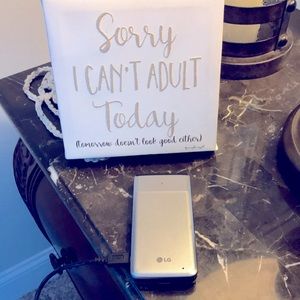 Verizon LG flip phone